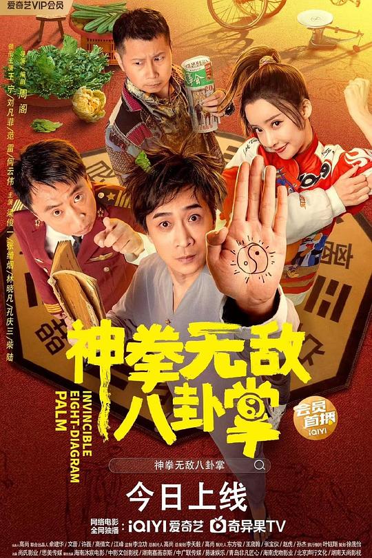神拳无敌八卦掌 封面