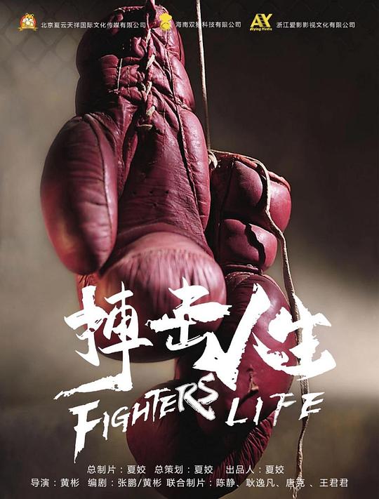 搏击人生 封面