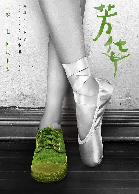 芳华纪录片：我把芳华献给你 封面