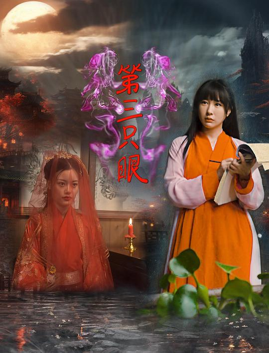 第三只眼 封面