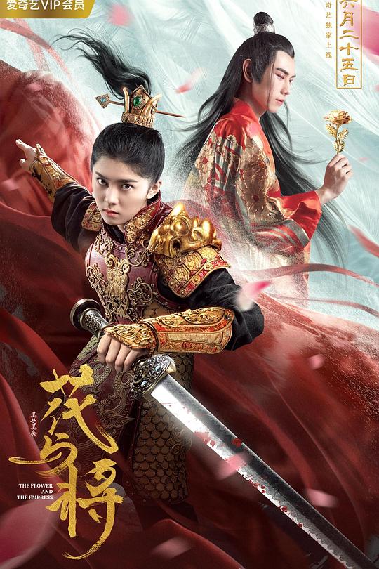 花与将 封面
