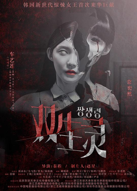 双生灵 封面