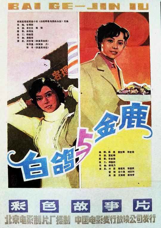 白鸽 封面