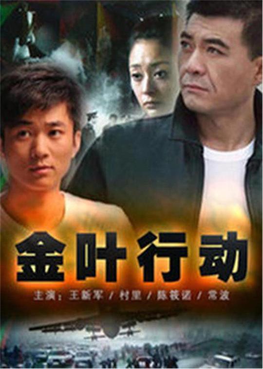 金叶行动 封面