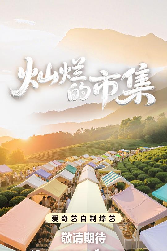 灿烂的市集 封面