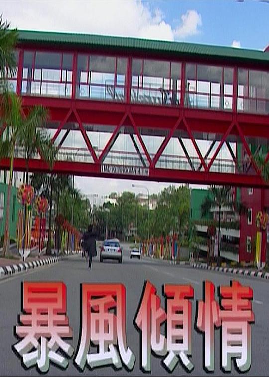 暴风倾情 封面
