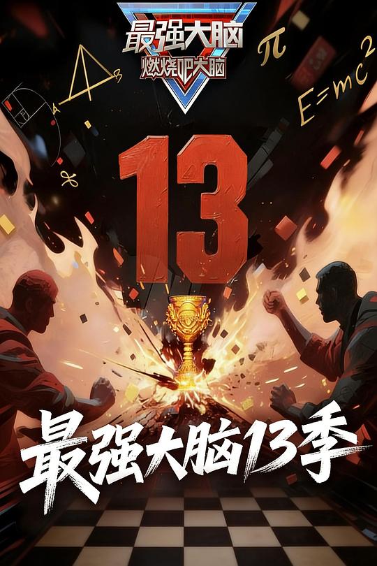 最强大脑 第十三季 封面