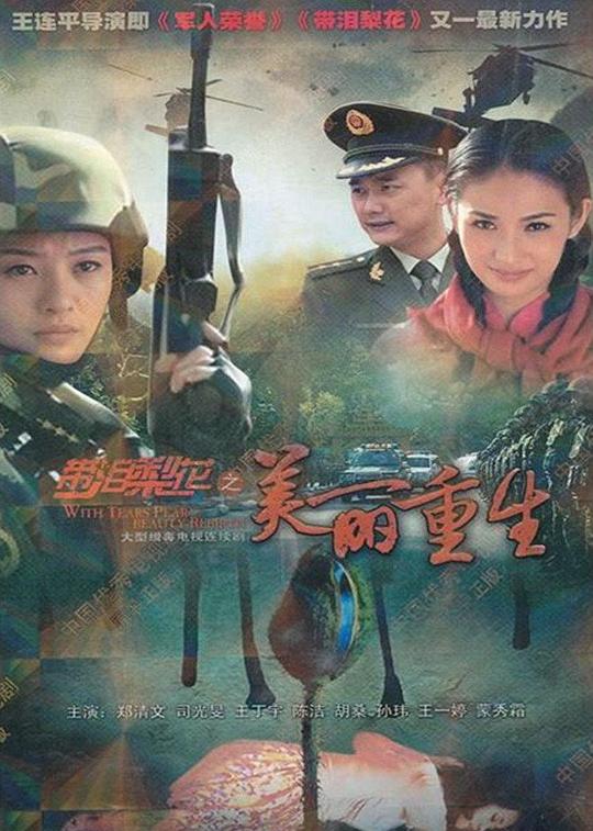 带泪梨花之美丽重生 封面