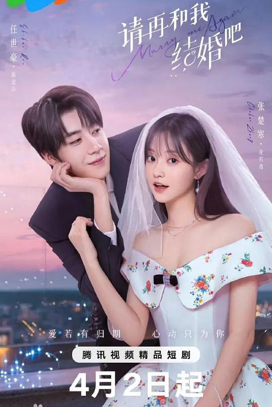 请再和我结婚吧 封面