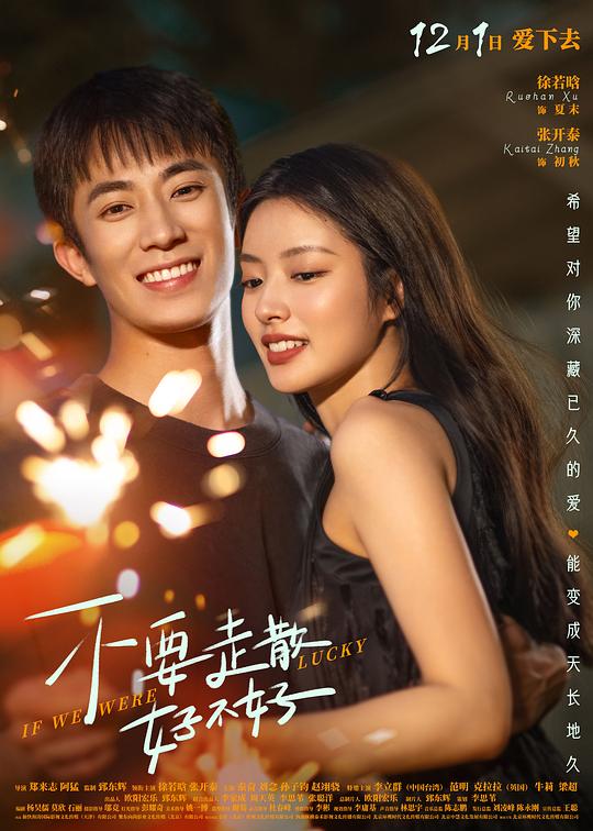不要走散好不好 海报