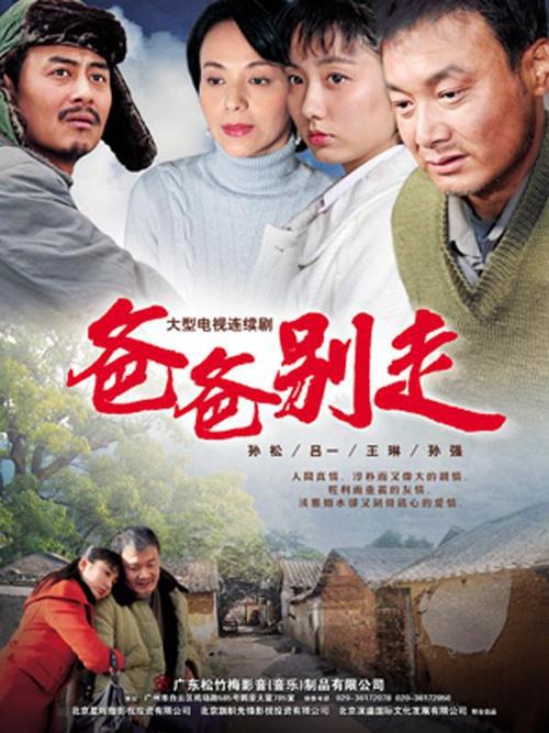 爸爸别走 封面