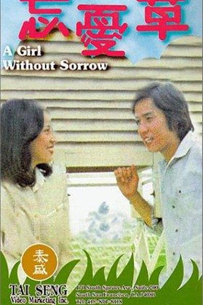 忘忧草 忘憂草 封面