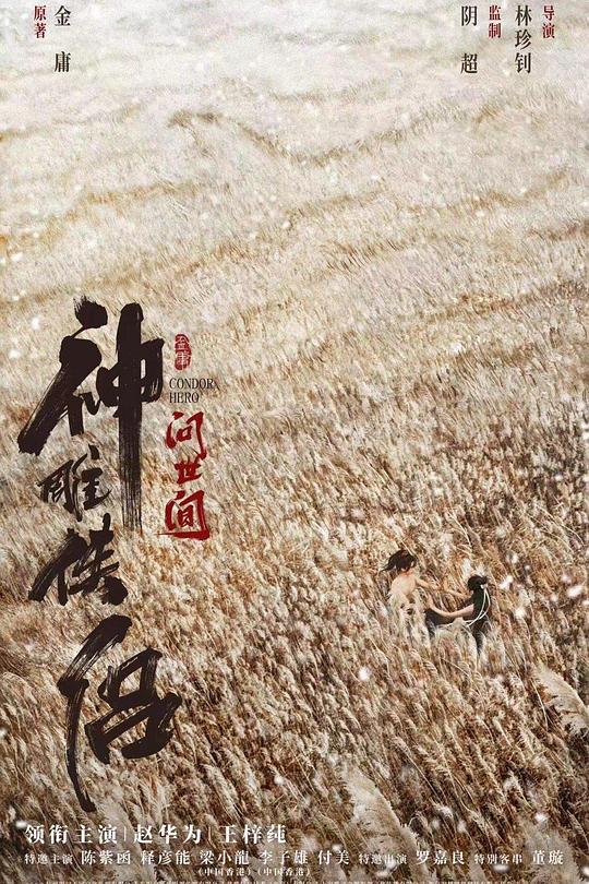 神雕侠侣：问世间 封面