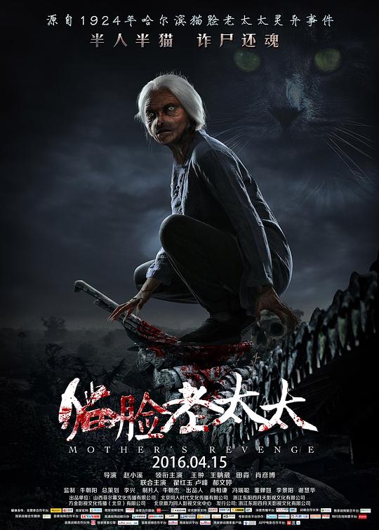 猫脸老太太 封面