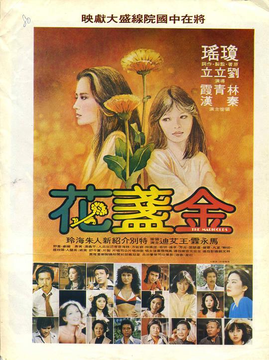 金盏花 金盞花 封面