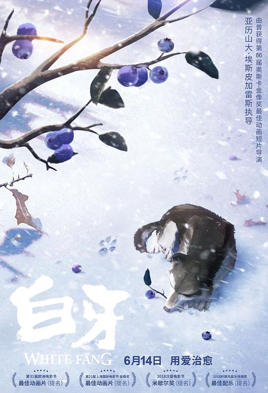 白牙 封面