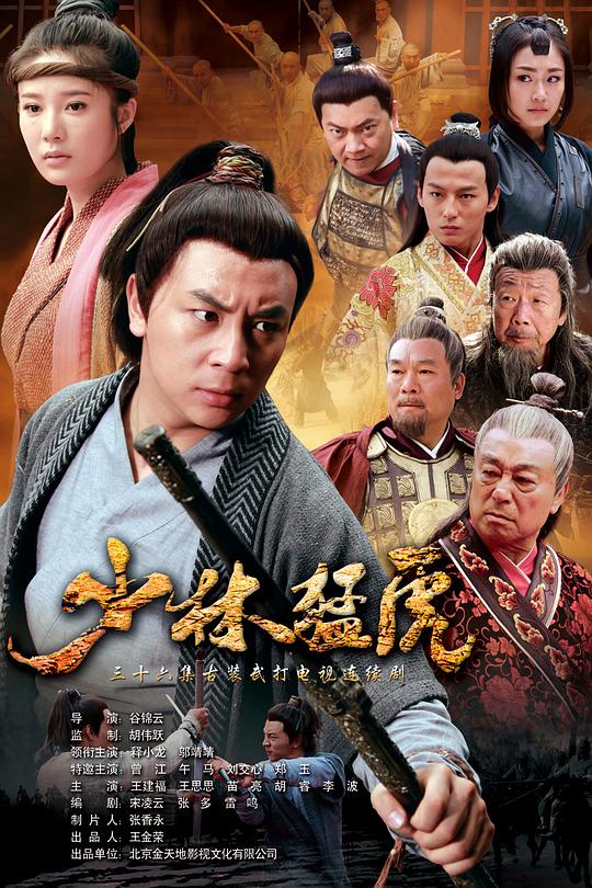 武林猛虎 封面