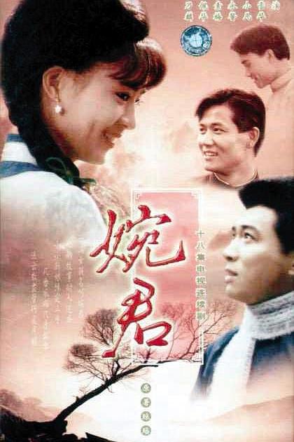 婉君 封面