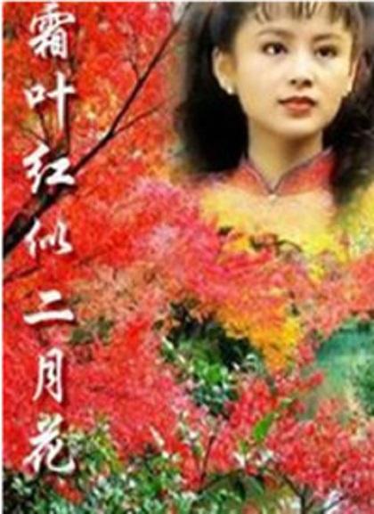 霜叶红似二月花 封面