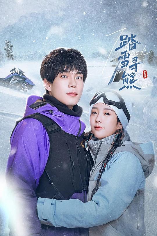 踏雪寻熊 封面