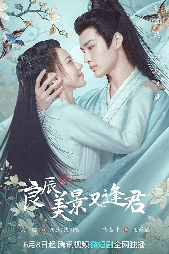 良辰美景又逢君 封面
