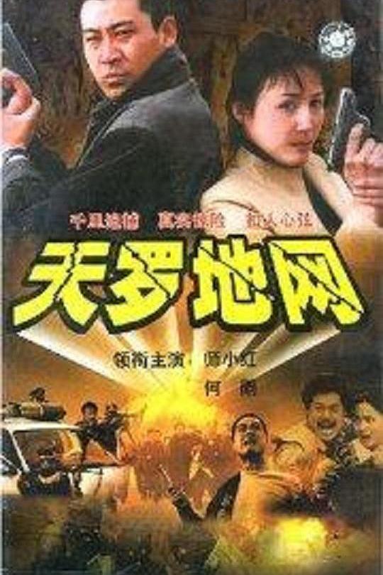 天罗地网 封面