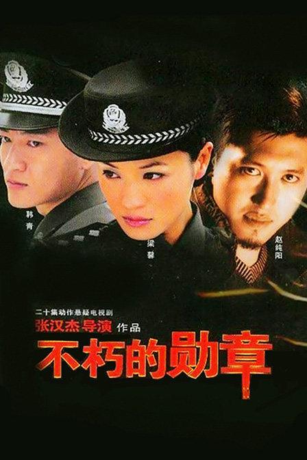 不朽的勋章 封面