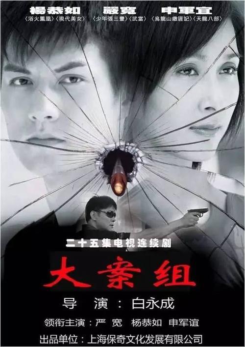 大案组 封面