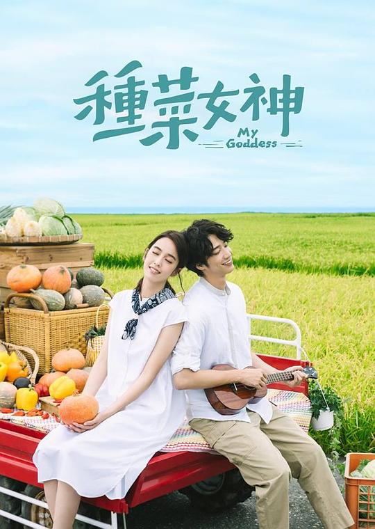 种菜女神 封面