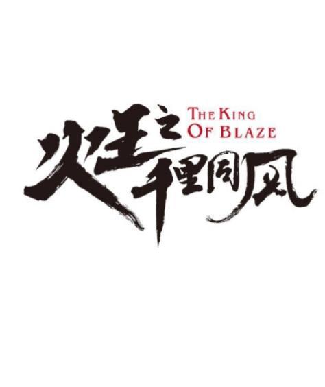 火王之千里同风 封面