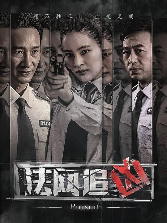法网追凶 封面