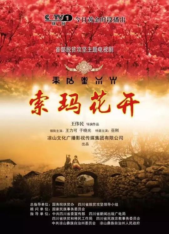 索玛花开 封面