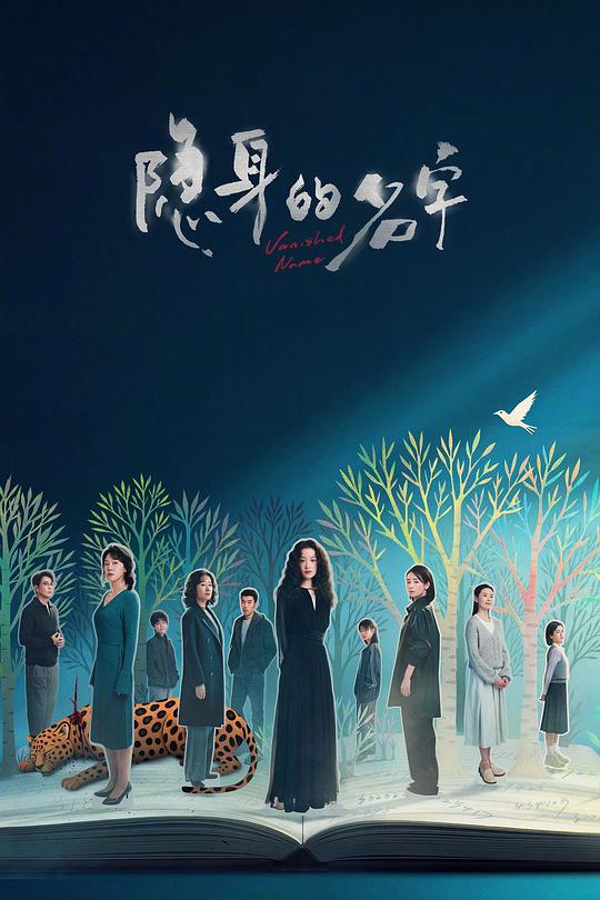 隐身的名字 海报