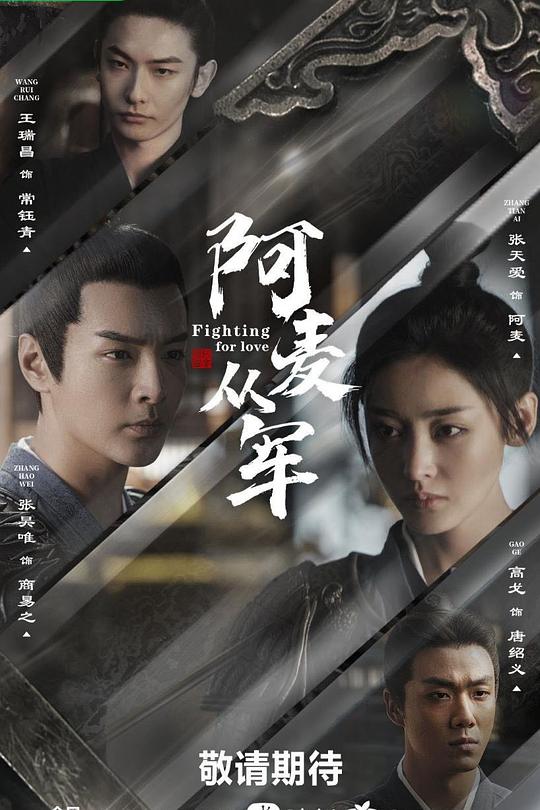 阿麦从军 封面