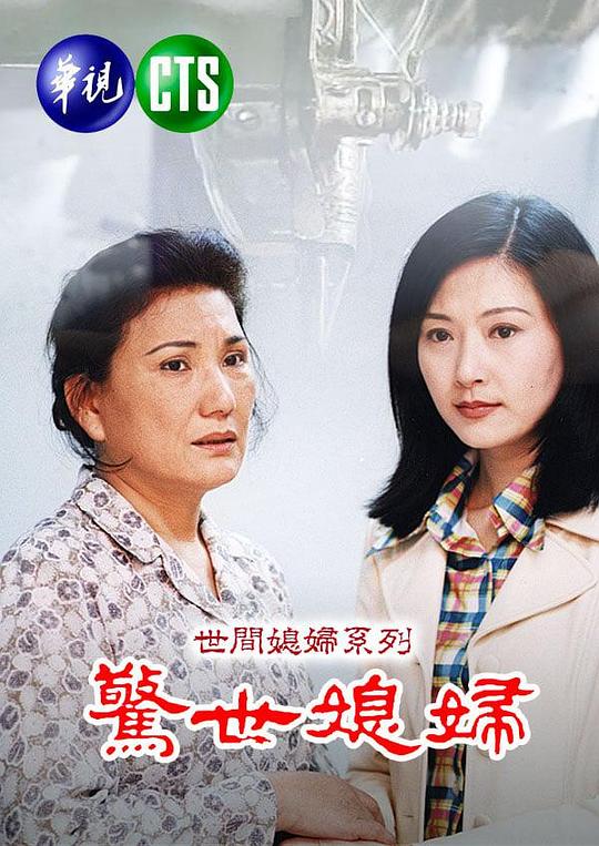 惊世媳妇 驚世媳婦 封面