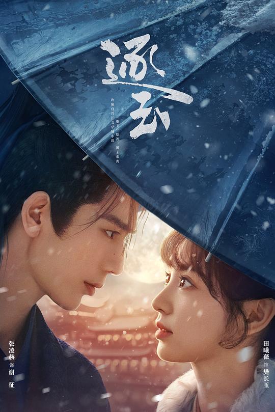 逐玉 海报