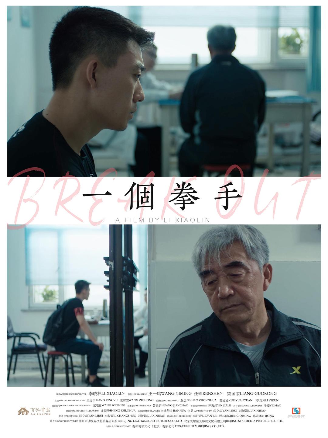 一个拳手 海报