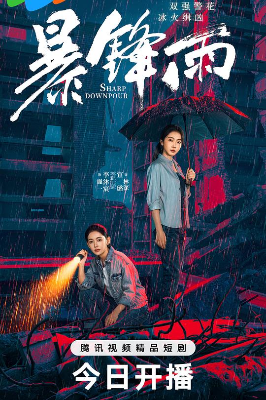 暴锋雨 海报