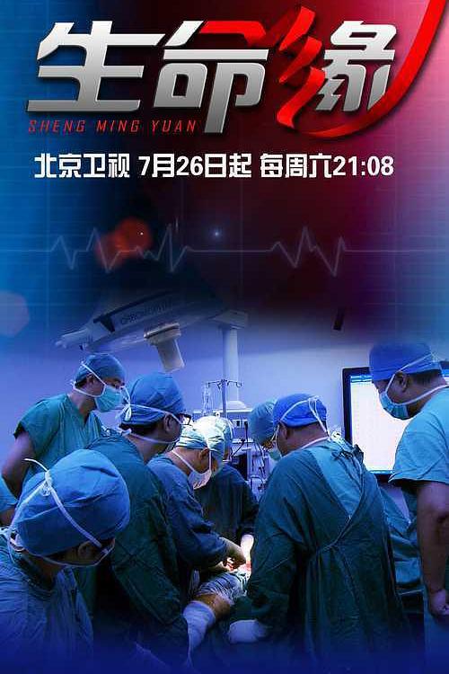 生命缘 第一季 海报
