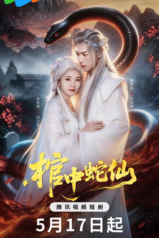 棺中蛇仙 海报