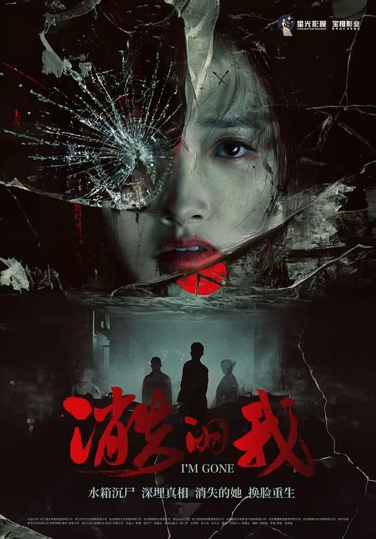 消失的我 海报