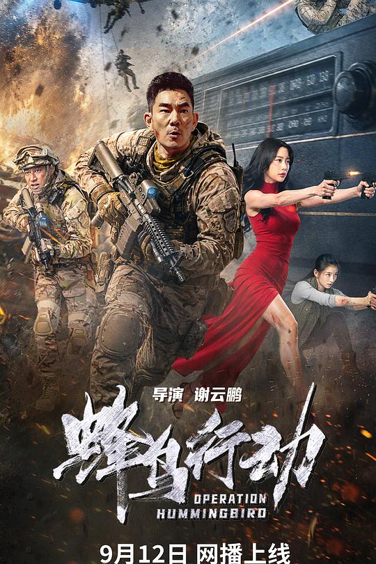 蜂鸟行动 封面